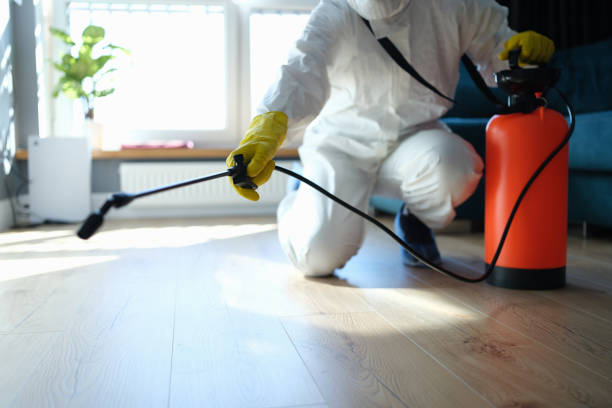 Reliable Odor Removal contractor in Cedar Hill, MO by Trauma Clean Pros